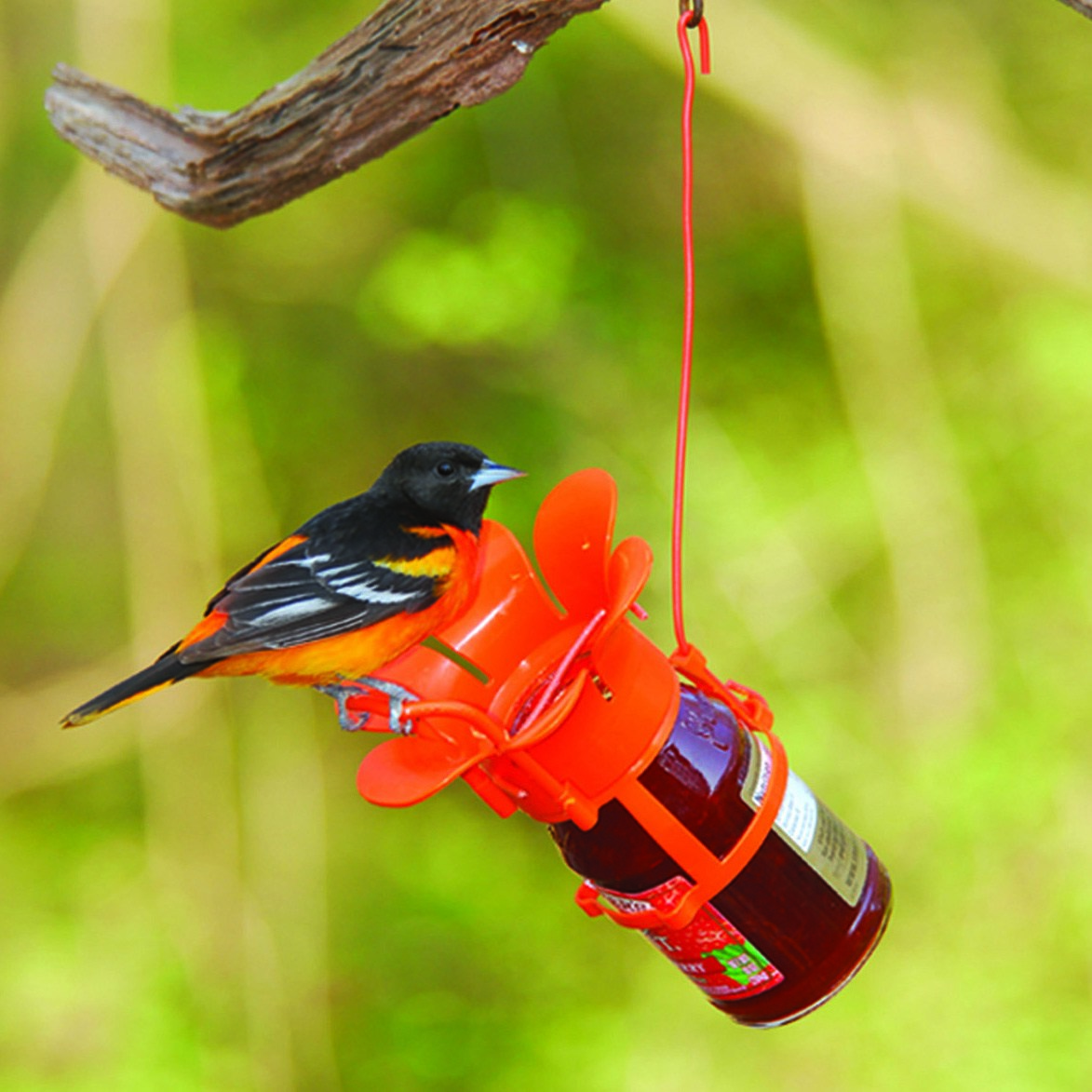 Songbird Essentials Fliteline Jelly & Jam Oriole Feeder — priced per each; minimum 12; multiples of 12