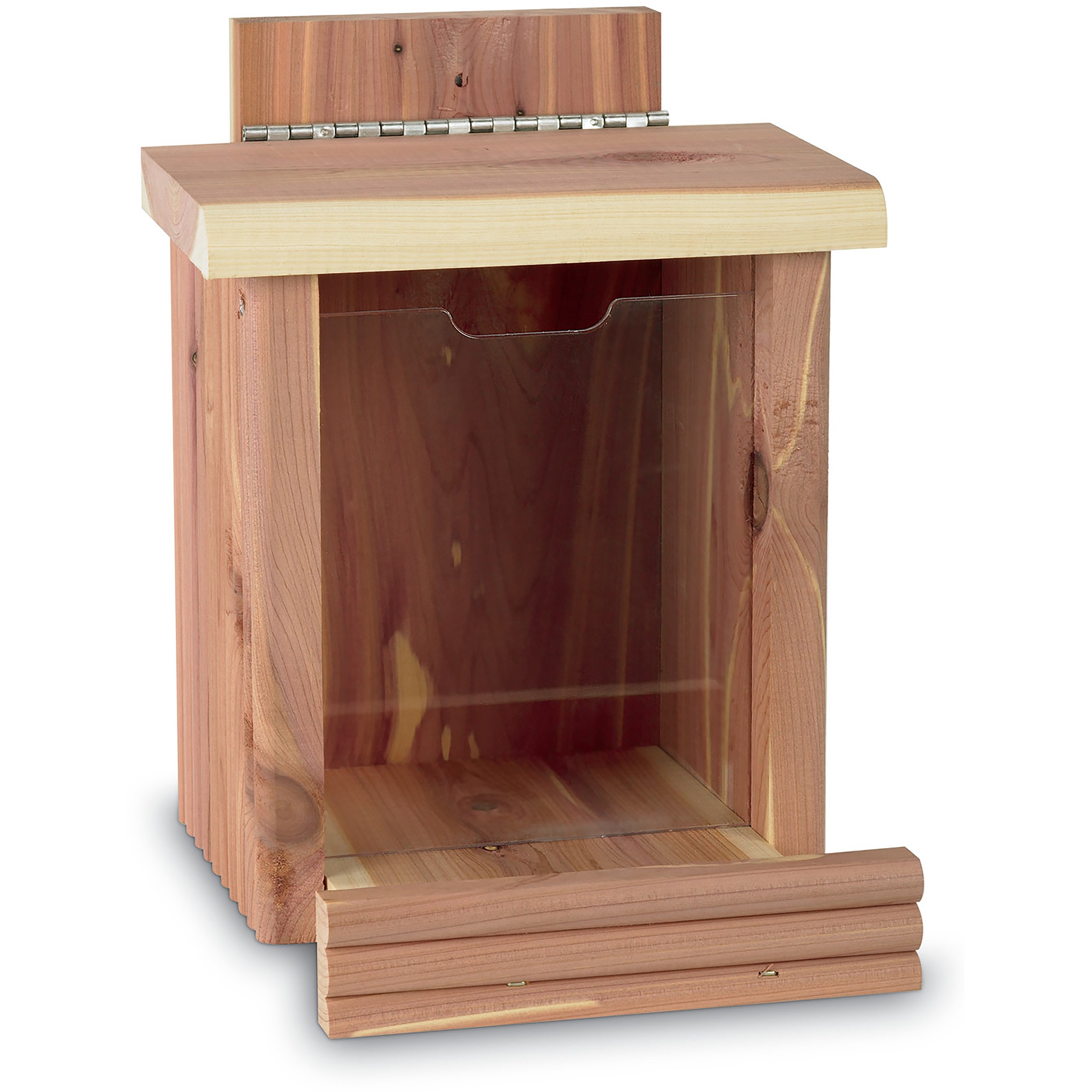 Pennington Cedar Squirrel Snacker — priced per each; minimum 2; multiples of 2