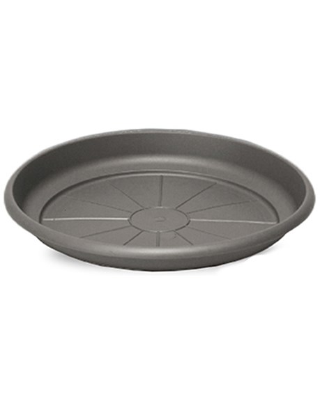 Crescent 7" Emma Saucer Charcoal
