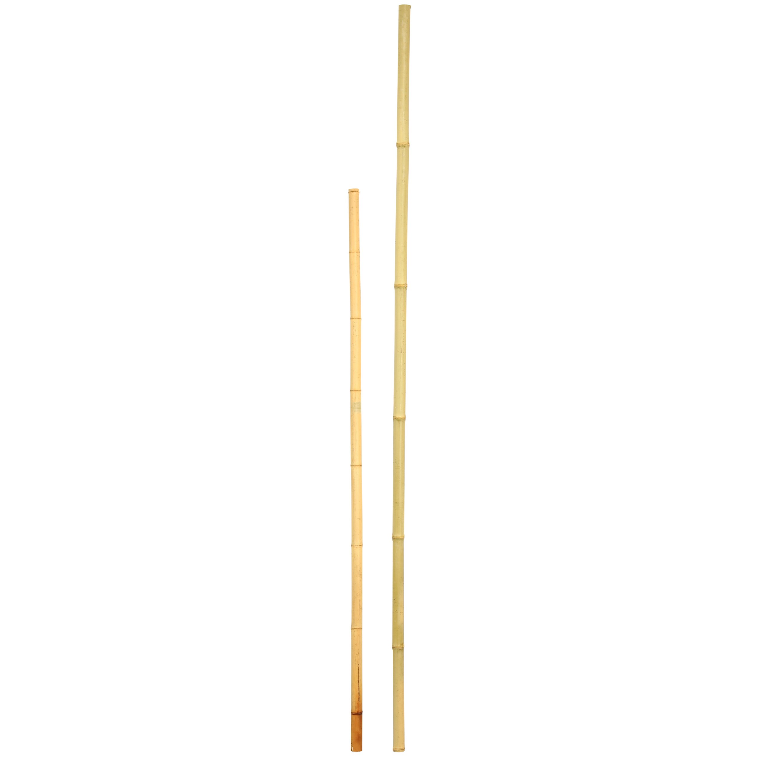 D&D Garden 5'x1" Super Bamboo Poles