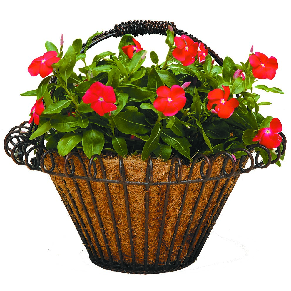 Deer Park Mini Round Basket With Coco Liner — priced per each; minimum 8; multiples of 8