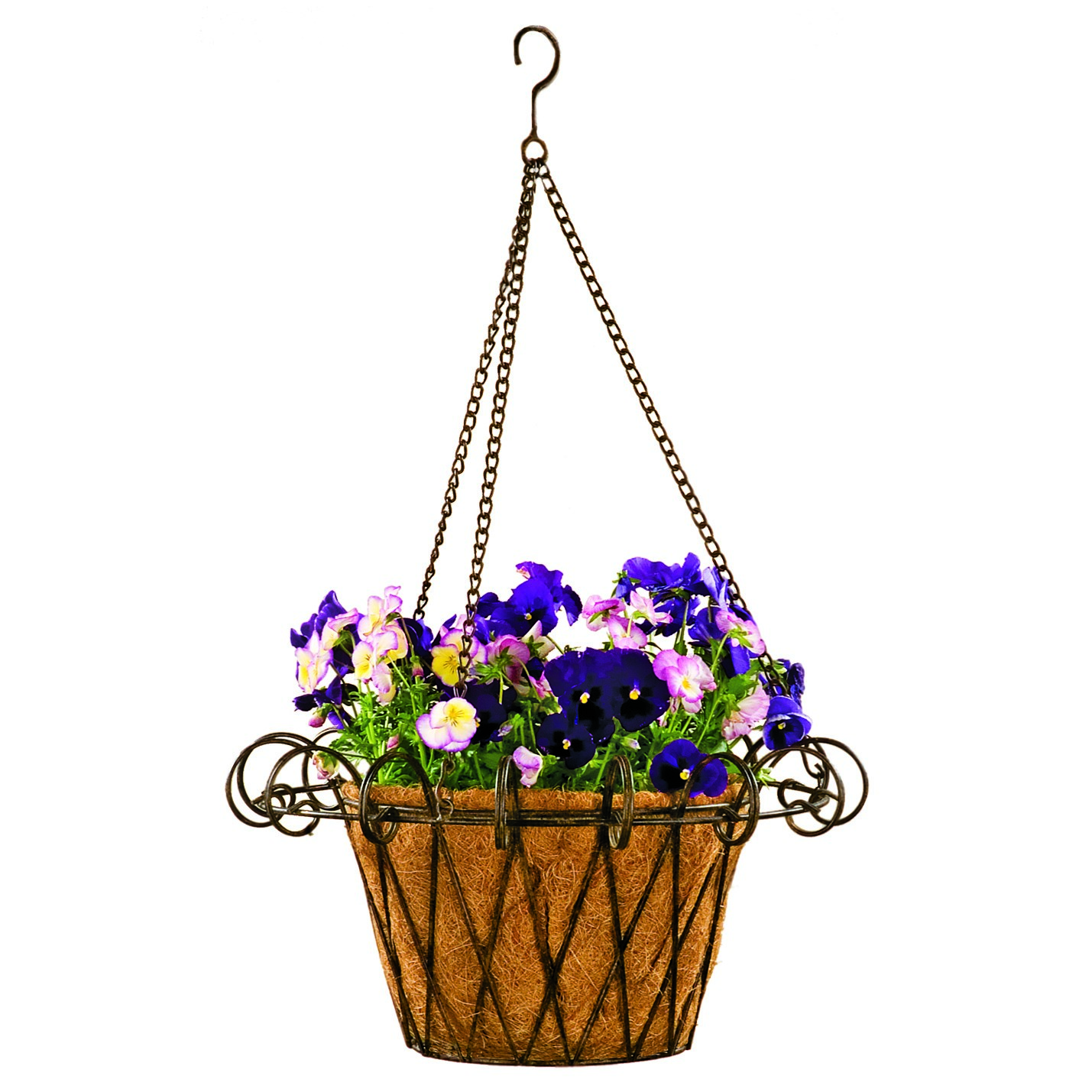 Deer Park French Hanging Basket With Coco Liner — priced per each; minimum 6; multiples of 6