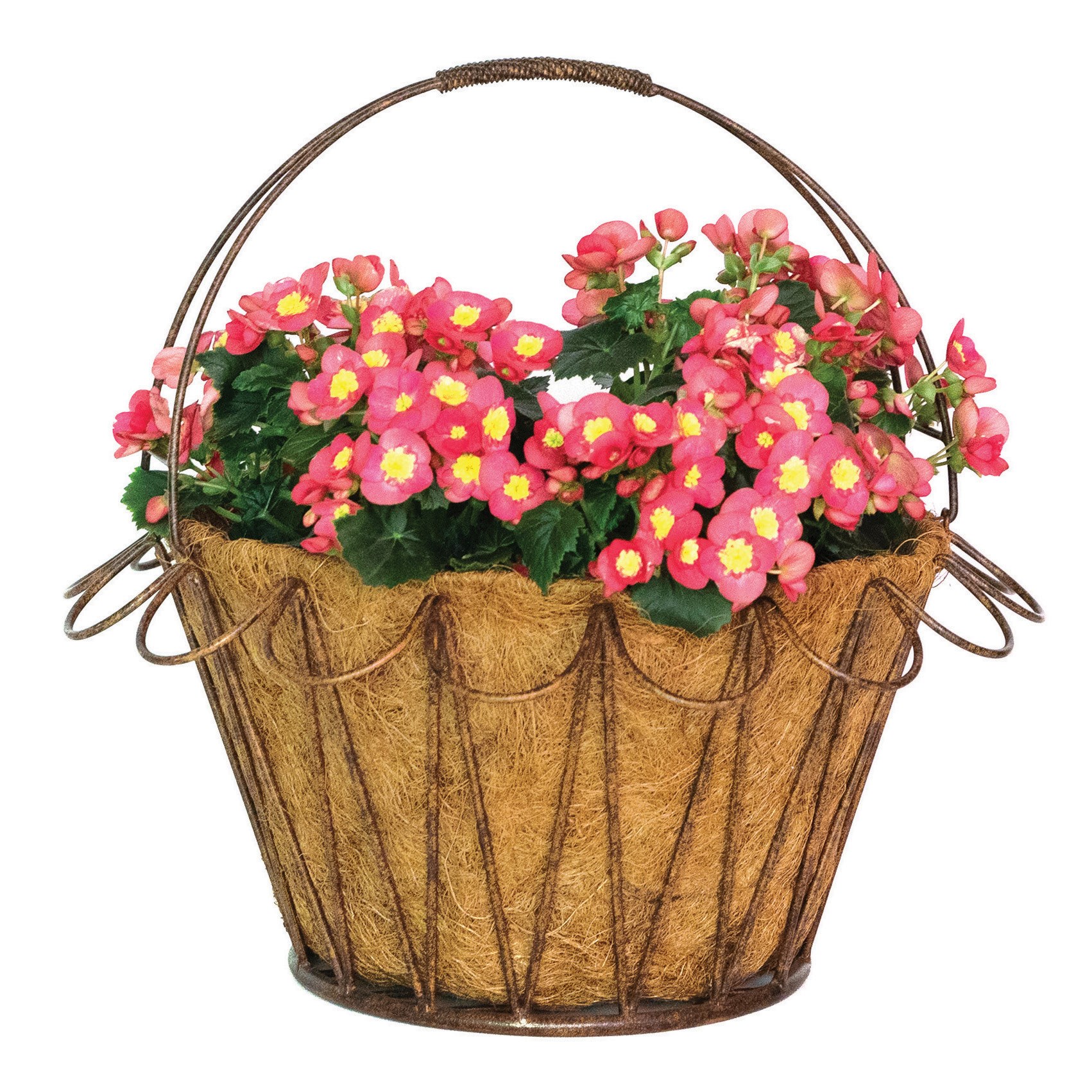 Deer Park Wave Basket w/ Coco Liner — priced per each; minimum 6; multiples of 6