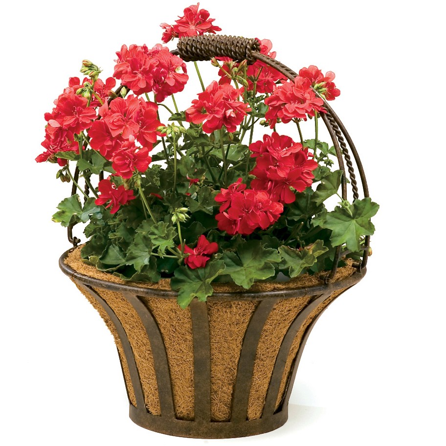Deer Park Solera Basket With Coco Liner — priced per each; minimum 6; multiples of 6