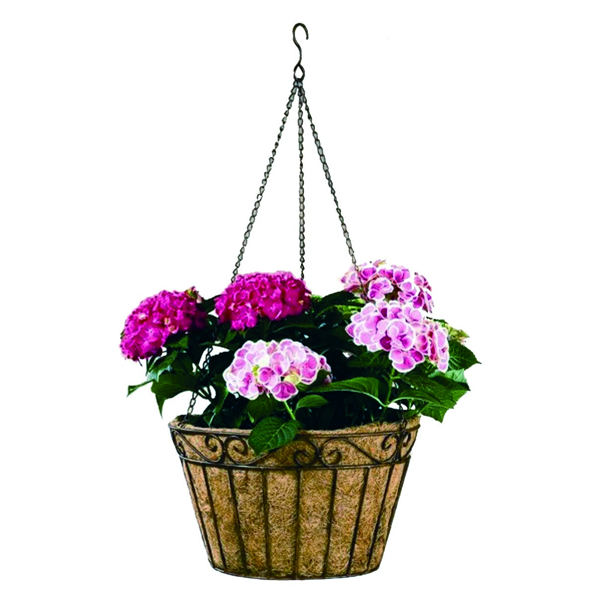 Deer Park Imperial Hanging Basket With Coco Liner — priced per each; minimum 6; multiples of 6