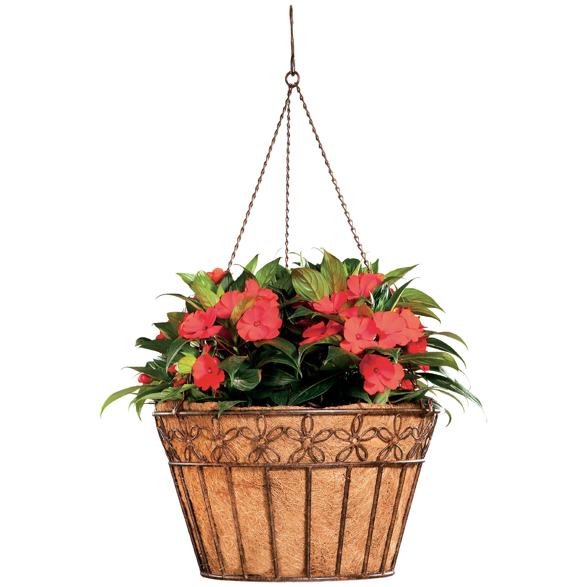 Deer Park 16" Hanging Daisy Ribbon Basket with Coco Liner — priced per each; minimum 6; multiples of 6