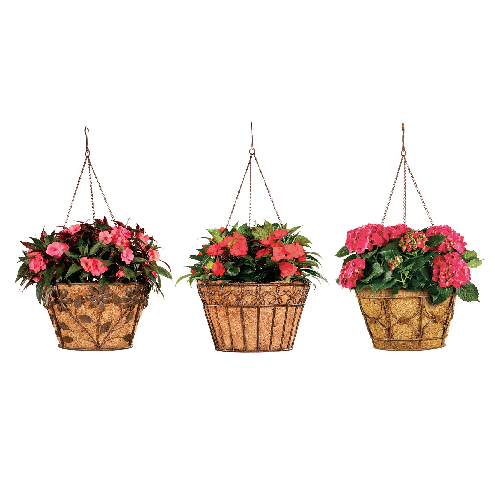 Deer Park Hanging Basket Variety Pk 2 Floral Daisy Ribbon Arch — priced per each; minimum 6; multiples of 6