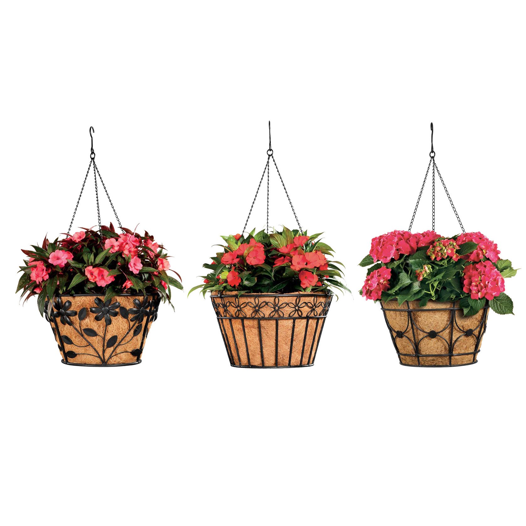 Deer Park Blk Hanging Basket Variety Pk 2 Floral Daisy Ribbon Arch — priced per each; minimum 6; multiples of 6