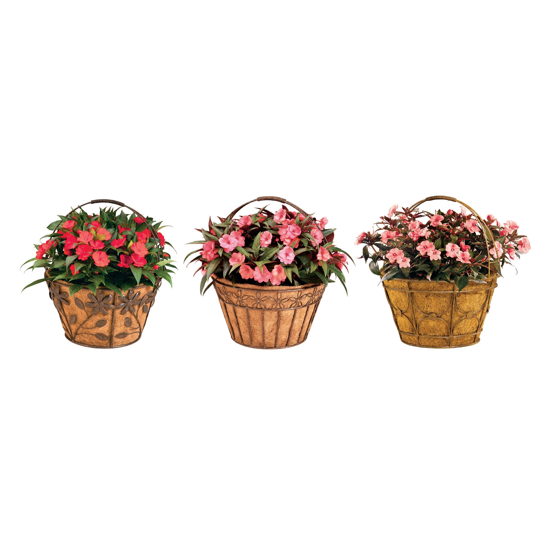 Deer Park Basket Variety Pk 2 Floral Daisy Ribbon Arch — priced per each; minimum 6; multiples of 6