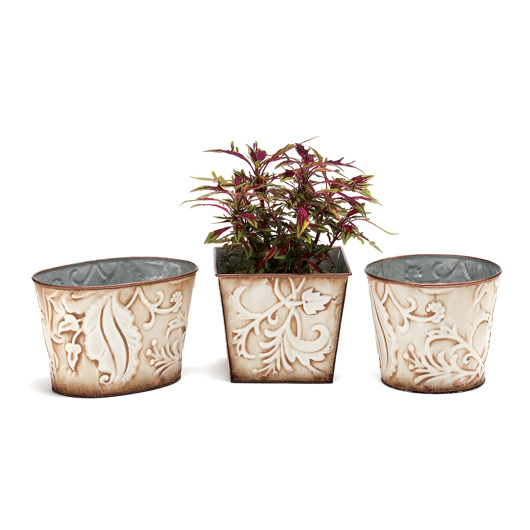 Deer Park 18pc Venetian Planter Mixed Variety Pack - 6 Each Square Oval Round