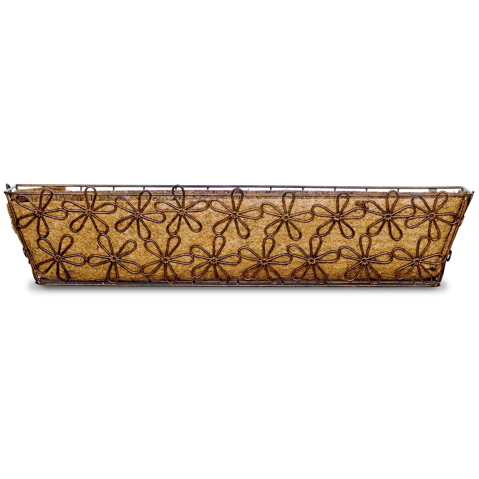 Deer Park Multi-Daisy Window Box w/ Coco Liner Large