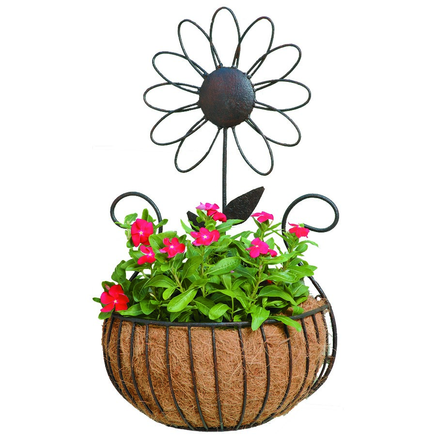 Deer Park Daisy Wall Basket With Coco Liner — priced per each; minimum 6; multiples of 6