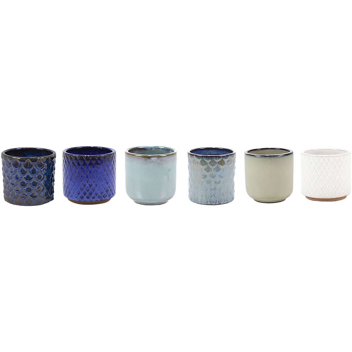 Deroma 48pc Succulent Mini Pot PDQ Box