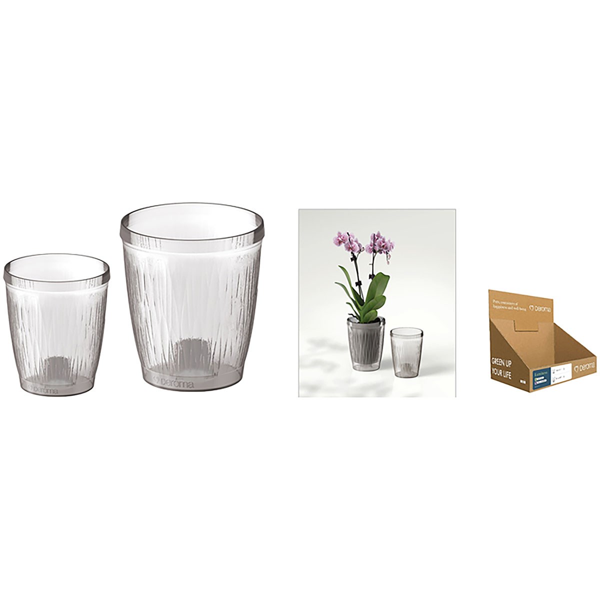 Deroma 40pc Pallbox Mix Luminosa Transparent Orchid Pot