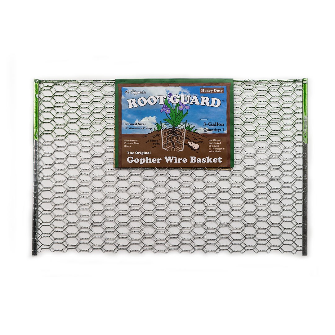 Diggers 3gal Root Guard Gopher Basket — priced per each; minimum 12; multiples of 12