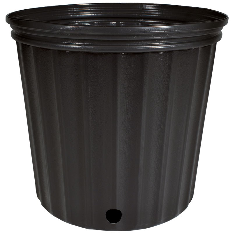 HC Dillen 3G 1000 Reg Nursery Pot BK, Blow Molded, Trade 3 Gallon, Black, 50 per Bundle, 10.00in x 9.00in, 2.33Gal, 3Gallon — Single Unit