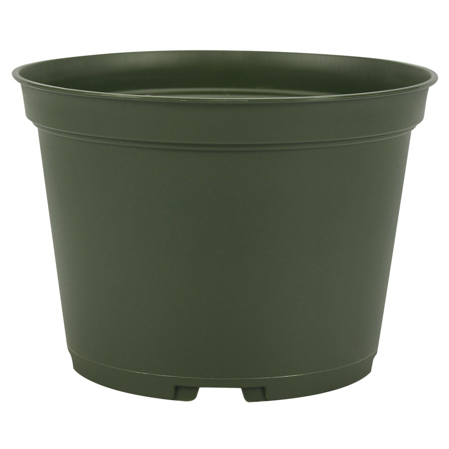 Dillen AZA0650 06.50 Round Azalea Pot Green — Single Unit
