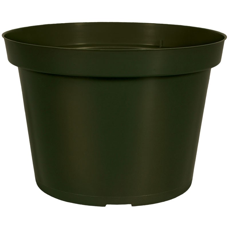 DLN 06.50 RND AZ TRAD T/W 300GN — Case of 240