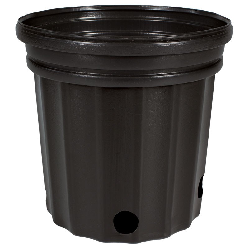 HC Dillen Elite 300 Squat Nursery Pot, Blow Molded, Trade 1 Gallon, Black, 60 per Bundle, 168 Bundles Per Pallet, 6.5in x 6.37in, 2.49Quart, 1Gallon