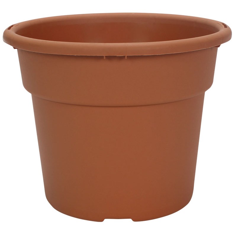 DLN 06.00 COLOR POT TL CL SEASONAL — Case of 98