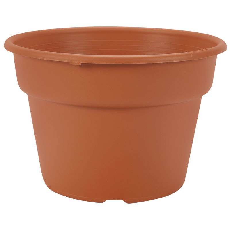 DLN 08.00 COLOR POT TL CL — Case of 58