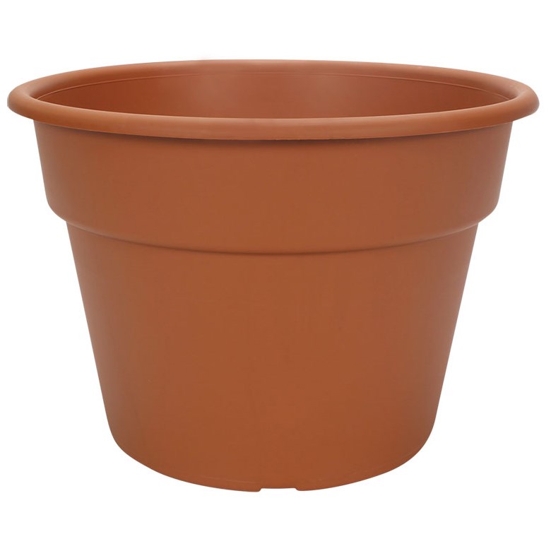 DLN 10.00 COLOR POT 1 CL — Case of 58