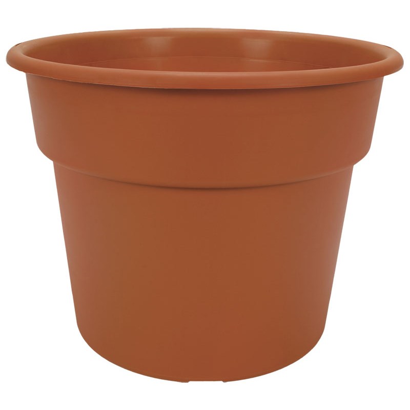 DLN 12.00 COLOR POT 2 TL CL — Case of 40