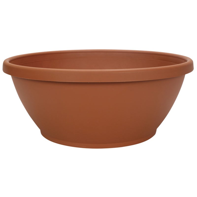 DLN 12.00 COLOR BOWL CL — Case of 42