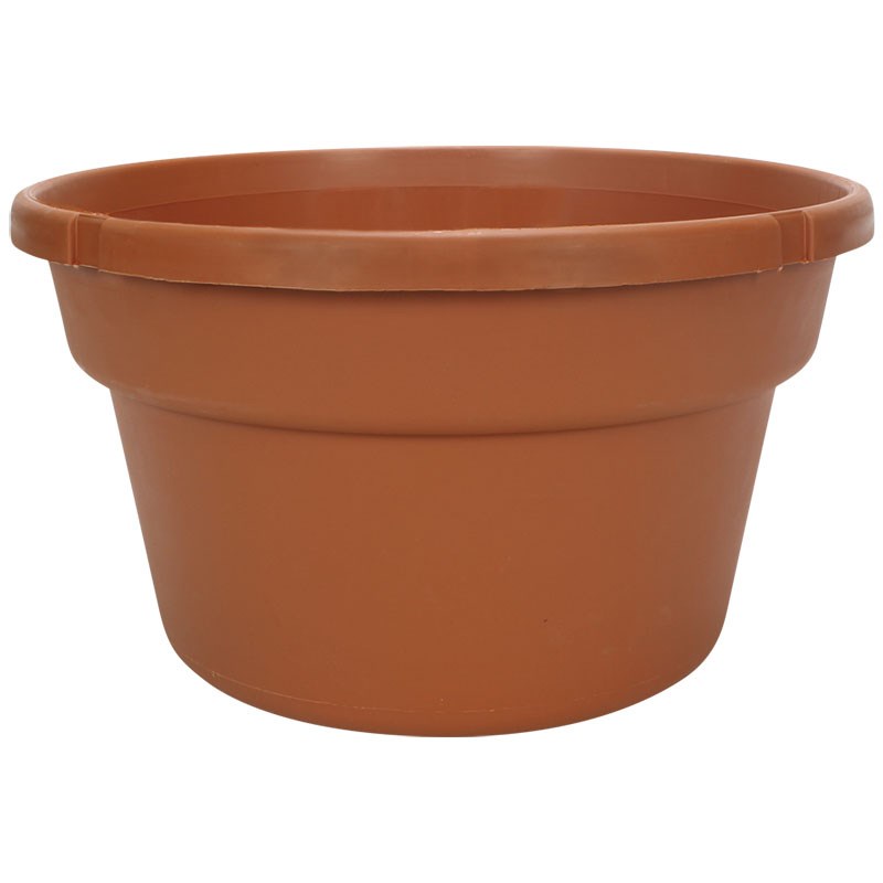 DLN 12.00 SL COLOR BSKT CL — Case of 25