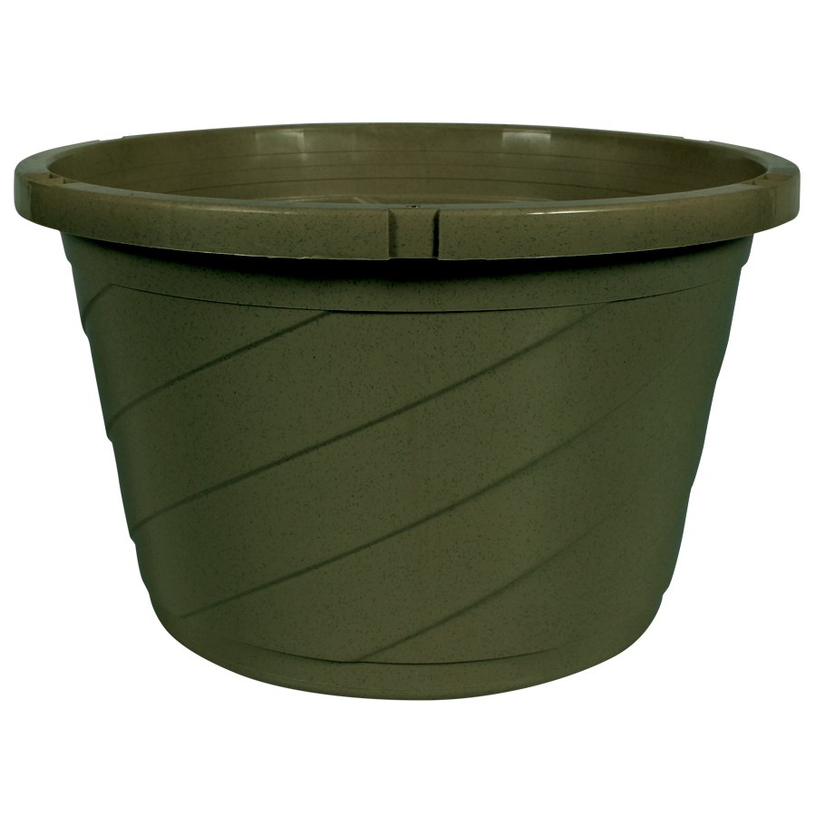 DLN 10.00 EURO SL TS HB NO HGR GREEN Cap dish Optional — Case of 50