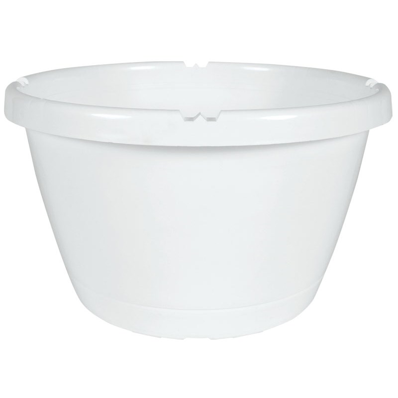 DLN 12.00 TRAD SL HB NO HGR WHT — Case of 50