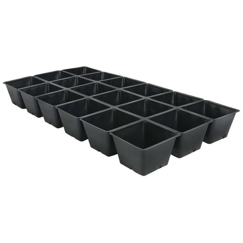 DLN 1801 STD INSERT BLK — Case of 100