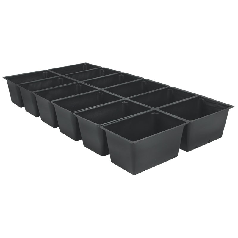 DLN 1203 TRUE INSERT BLK — Case of 100