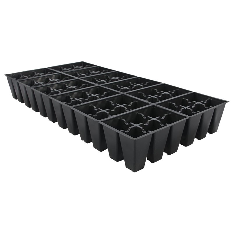 DLN 1206 TRUE INSERT BLK — Case of 100