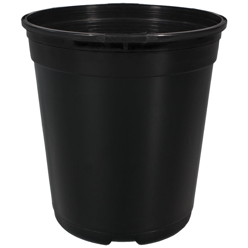 DLN TRADE 01.00GL TL T1G 2 BLK — Case of 128