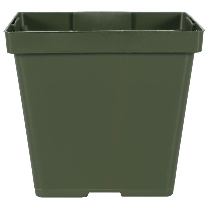 DLN 04.00 SQ T/W TL 300GN — Case of 846