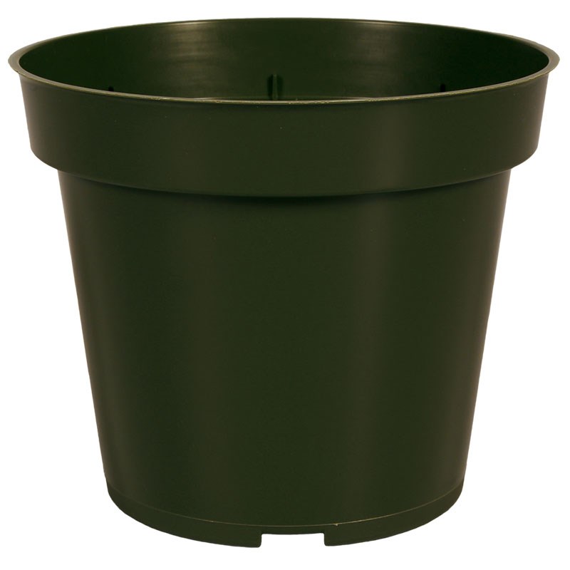DLN 04.50 RND GER T/W 300GN — Case of 850