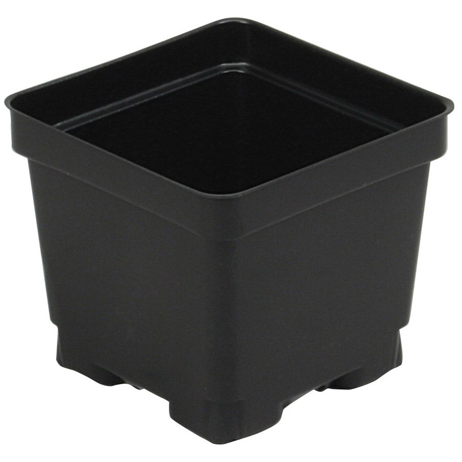 DLN 04.50 DSQVP45PF POT BLK — Case of 300
