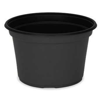 DLN 08.00X05.00 MUMPAN COEX BULK BLK/BLK — Pallet of 9720