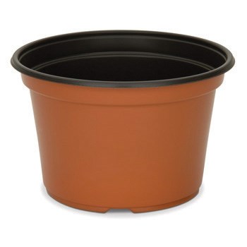 DLN 08.00X05.00 MUMPAN COEX BULK TC/BLK — Pallet of 9720