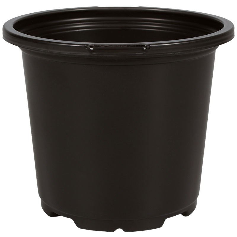 DLN 04.50 RND GER COEX BLK/BLK — Case of 720