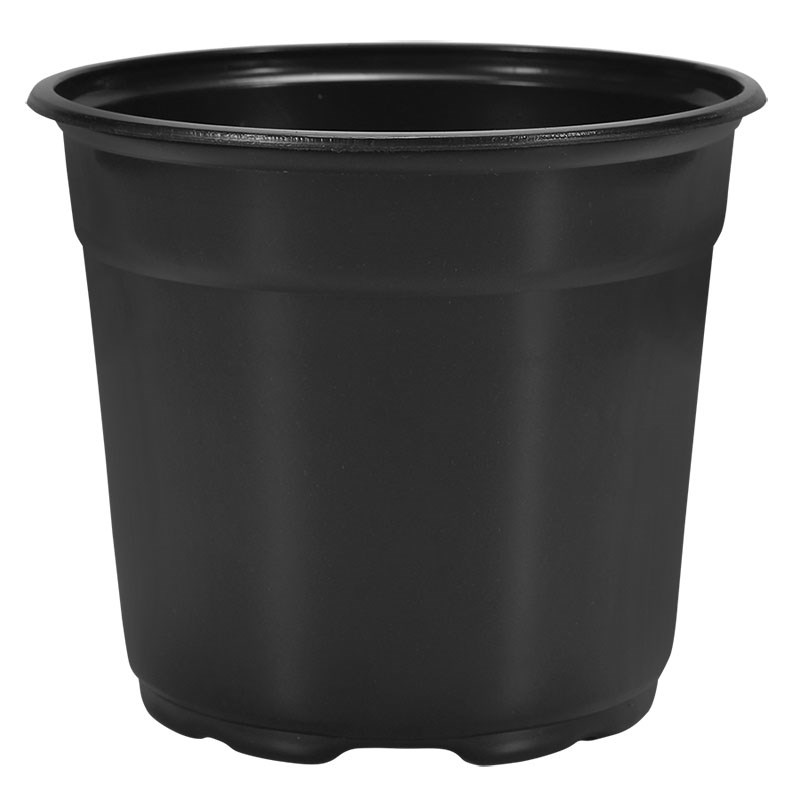 DILLEN 15CM ROUND SHORT COEX POT GREEN/BLACK , 6"x4.25", 1.3qt — Case of 680