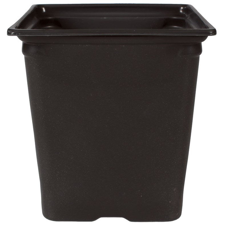 DLN M6 SQ COEX BLK/BLK — Case of 468