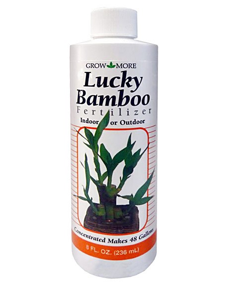 Grow More 8oz 2-2-2 Lucky Bamboo — priced per each; minimum 12; multiples of 12