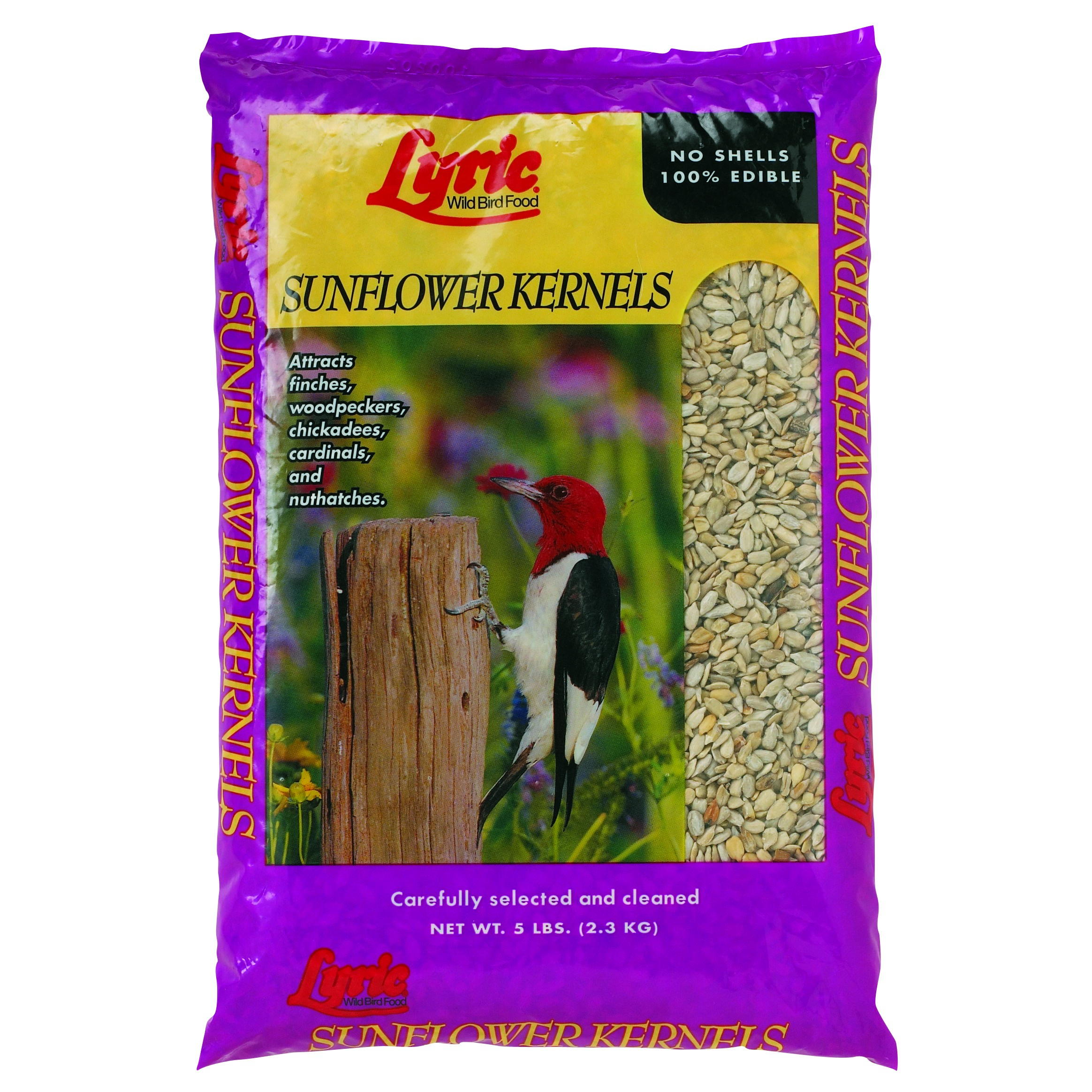 Lyric 25# Sunflower Kernels