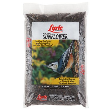 Lyric 5# Black Oil Sunflower