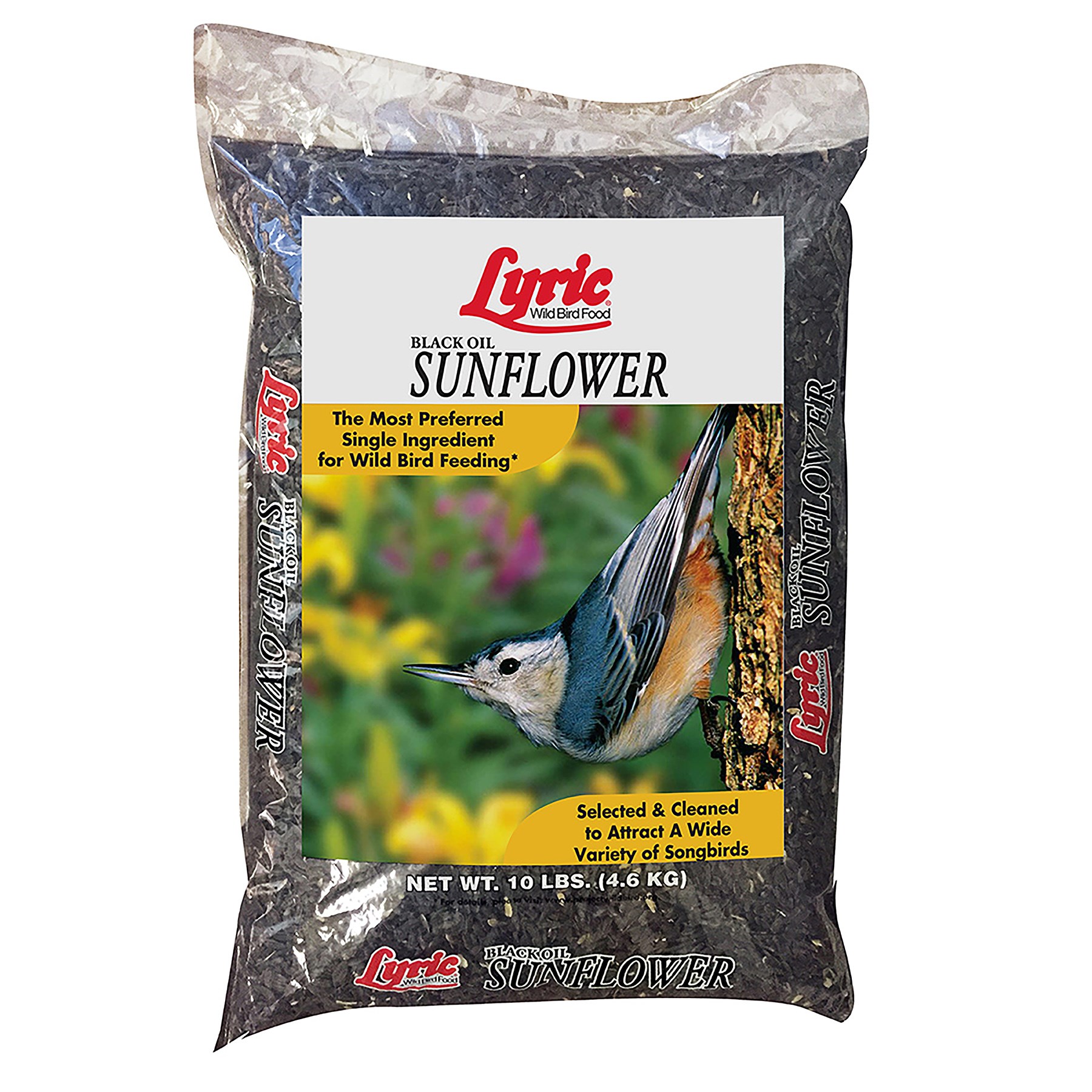 Lyric 10# Black Oil Sunflower
