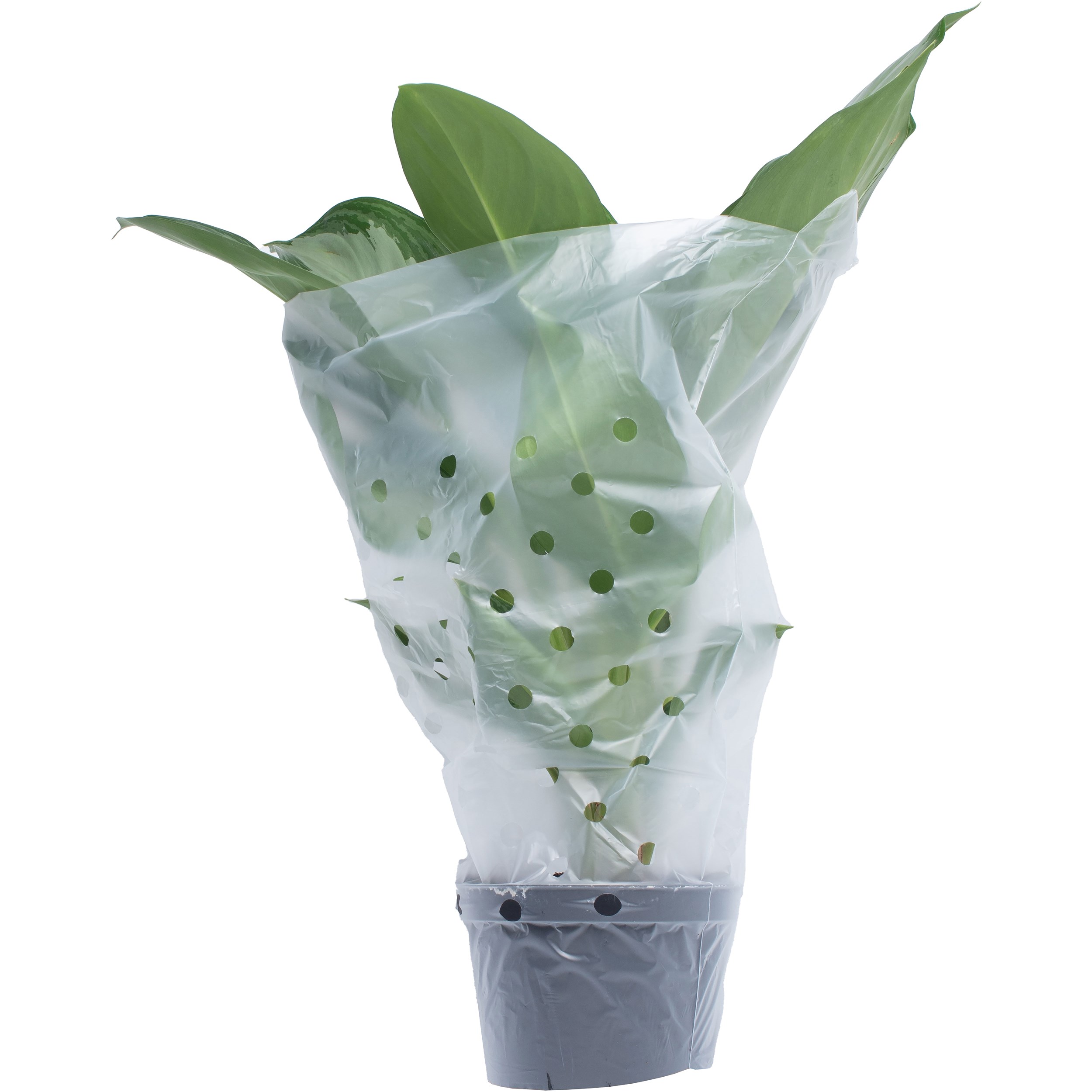 Grower Select Satin Sleeve 13.5x24x30 — Case of 1000