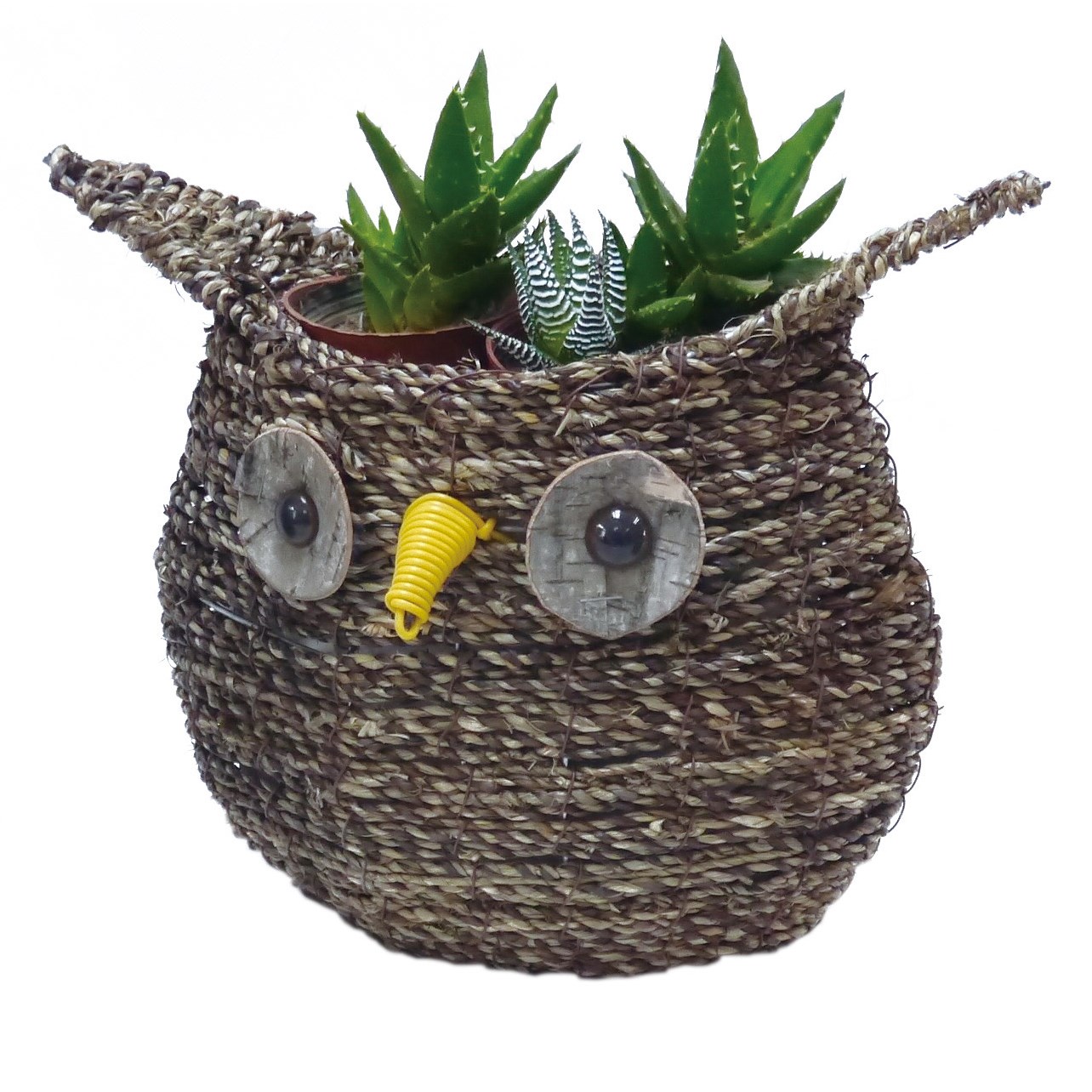 Gardener Select 10.5" Large Owl Rattan Rope Topiary — priced per each; minimum 10; multiples of 10