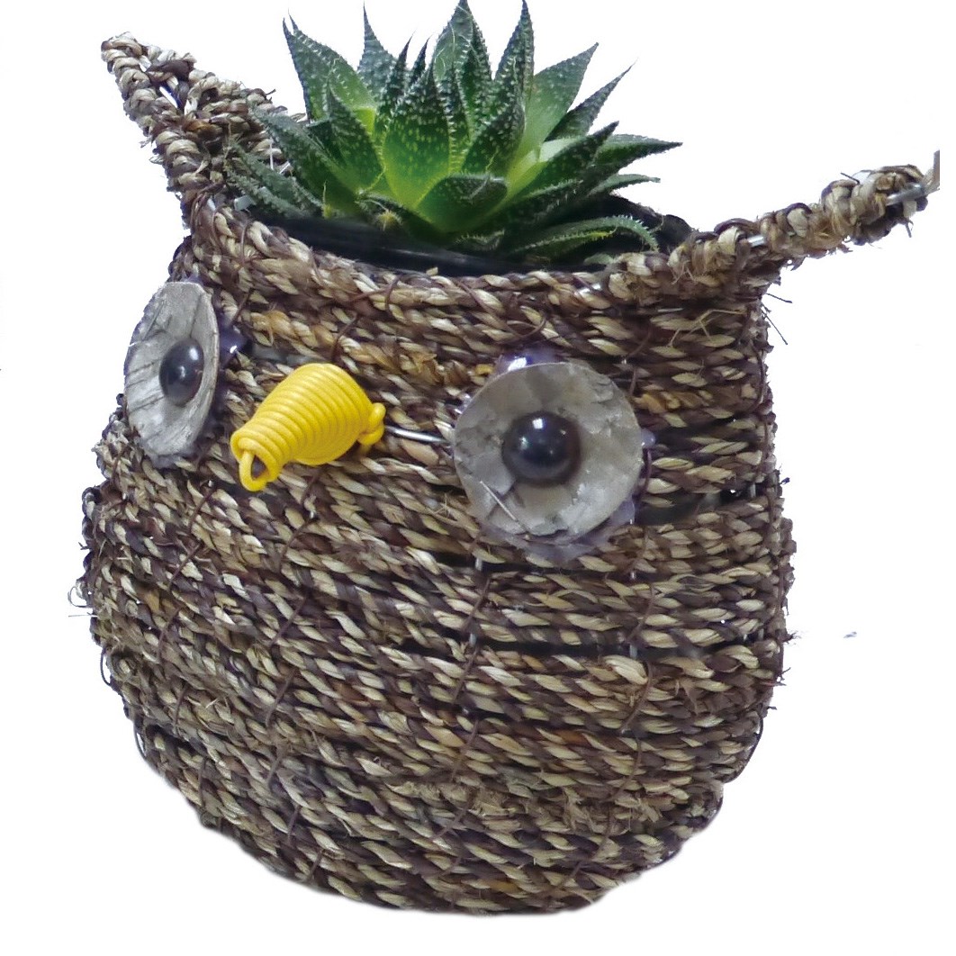 Gardener Select 7" Small Owl Rattan Rope Topiary — priced per each; minimum 12; multiples of 12